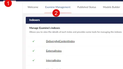 How to Remove Any Examine Index in Umbraco - featured image