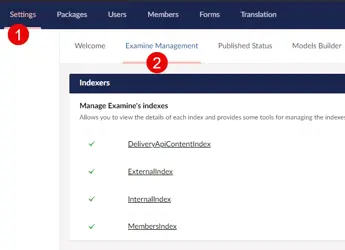 How to Remove Any Examine Index in Umbraco