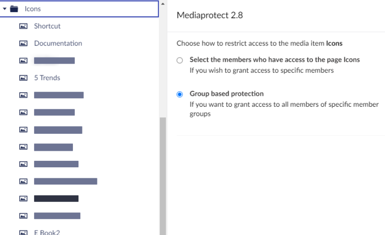 Media Protect restrict options