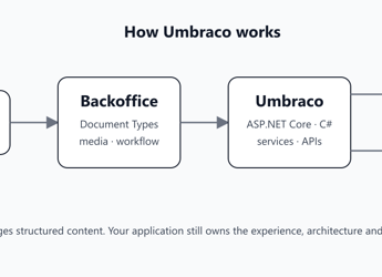 What Is Umbraco CMS?