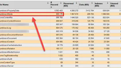 How 805K Documents Exposed Webhook Polling in Umbraco 13 - featured image