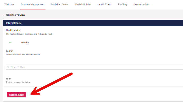 Rebuild the affected Examine index from the Umbraco 13 back office.
